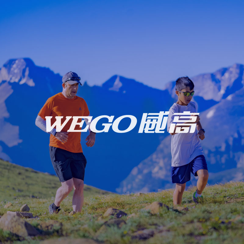 威高(gao)醫(yī)療集(ji)團(tuán)