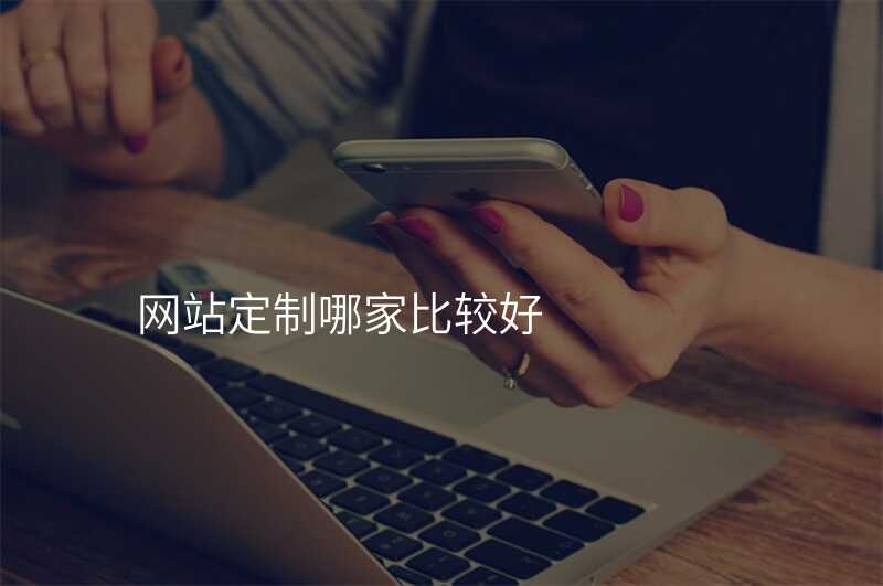 網站定製(zhi)哪傢(jia)比較好