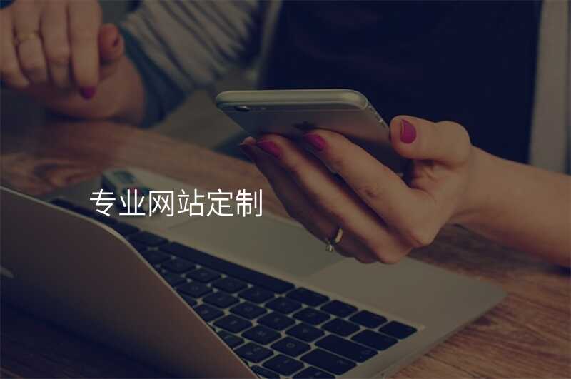 專(zhuan)業網站定製(zhi)