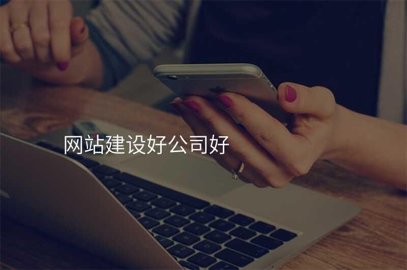 網站建(jian)設(shè)好公(gōng)司好