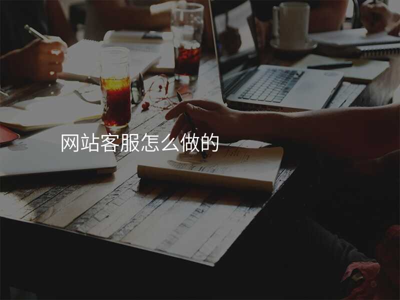 網站客服怎麽做的(de)