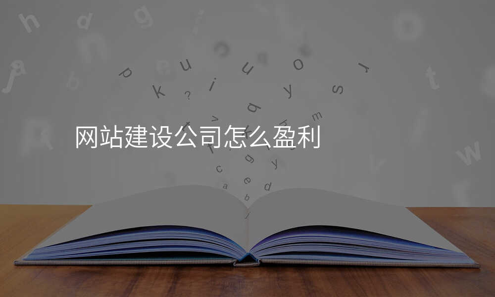 網站建(jian)設(shè)公(gōng)司怎麽盈利