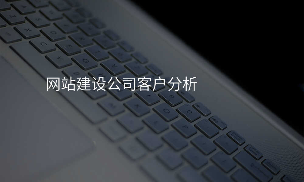 網站建(jian)設(shè)公(gōng)司客戶(hu)分(fēn)析