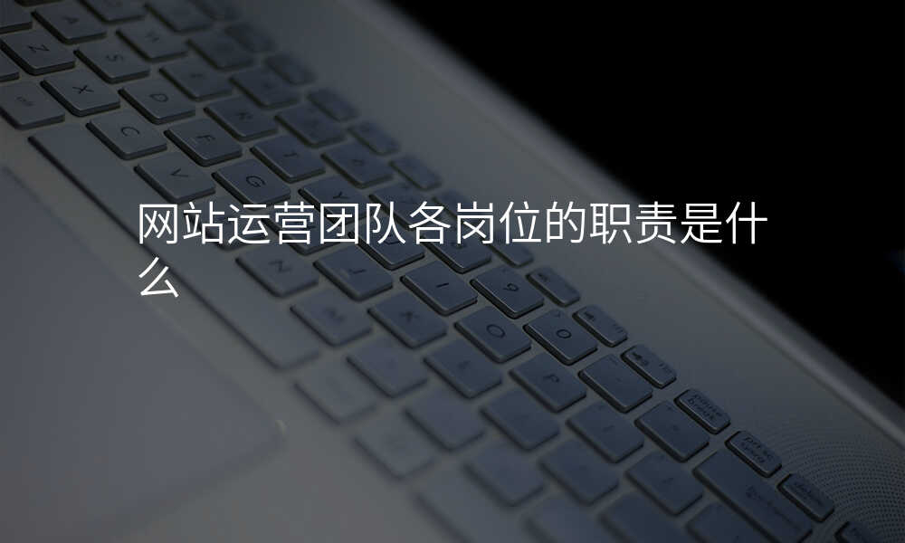 網站運營(ying)團(tuán)隊(duì)各崗位的(de)職責昰(shi)什麽
