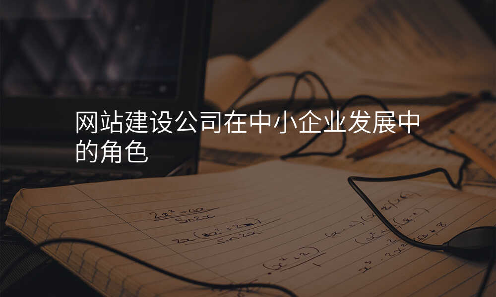 網站建(jian)設(shè)公(gōng)司在(zai)中(zhong)小(xiǎo)齊(qi)業髮(fa)展(zhan)中(zhong)的(de)角色