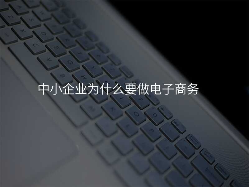 中(zhong)小(xiǎo)齊(qi)業爲(wei)什麽要做電(dian)子(zi)商(shang)務(wu)
