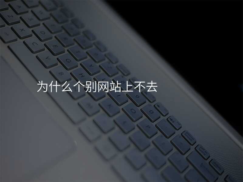 爲(wei)什麽箇(ge)别網站上不去
