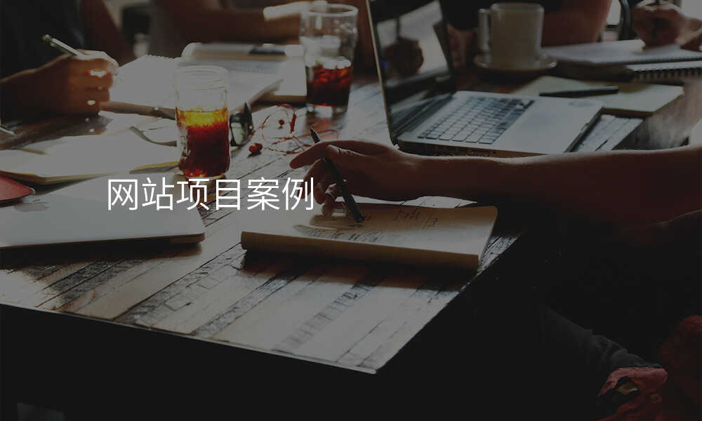 網站項(xiang)目(mu)案例