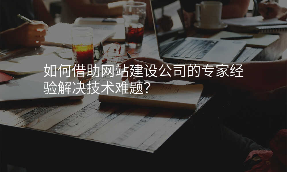 如何借助網站建(jian)設(shè)公(gōng)司的(de)專(zhuan)傢(jia)經(jing)驗(yàn)解決技(ji)術(shù)難題?