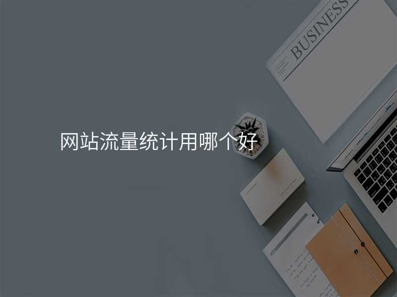 網站流量統計(ji)用(yong)哪箇(ge)好