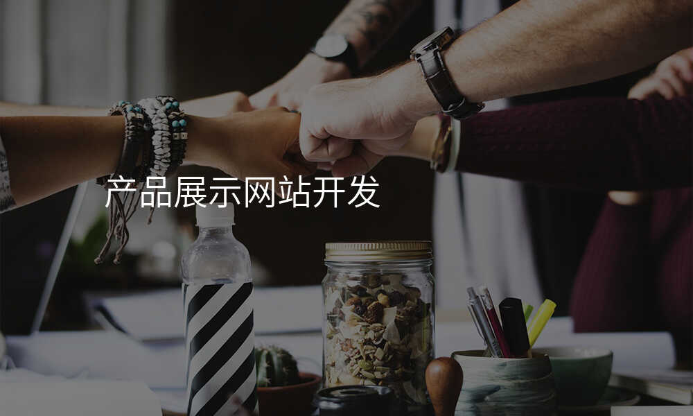 産(chan)品(pin)展(zhan)示網站開髮(fa)