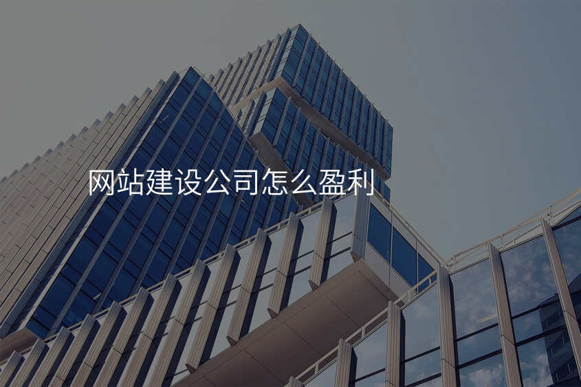 網站建(jian)設(shè)公(gōng)司怎麽盈利
