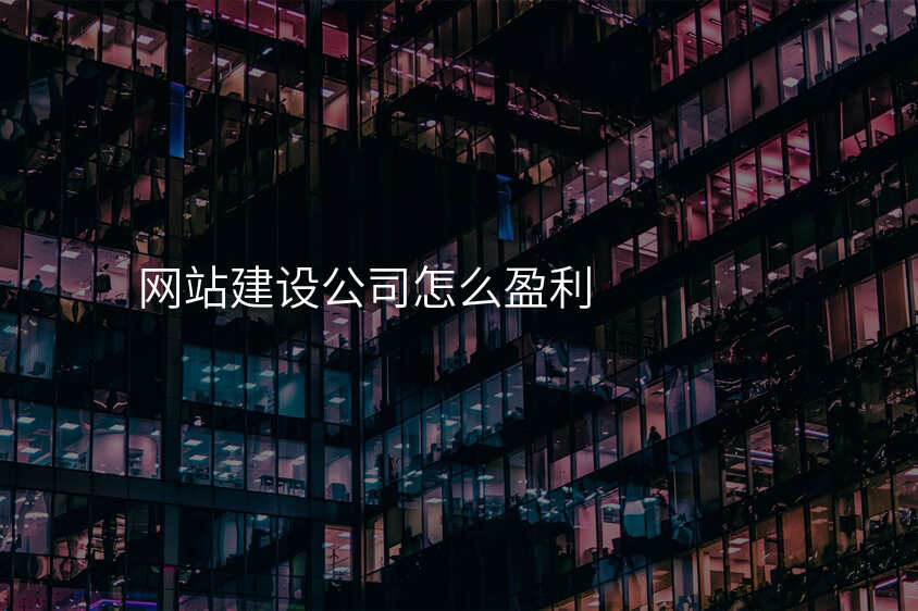 網站建(jian)設(shè)公(gōng)司怎麽盈利