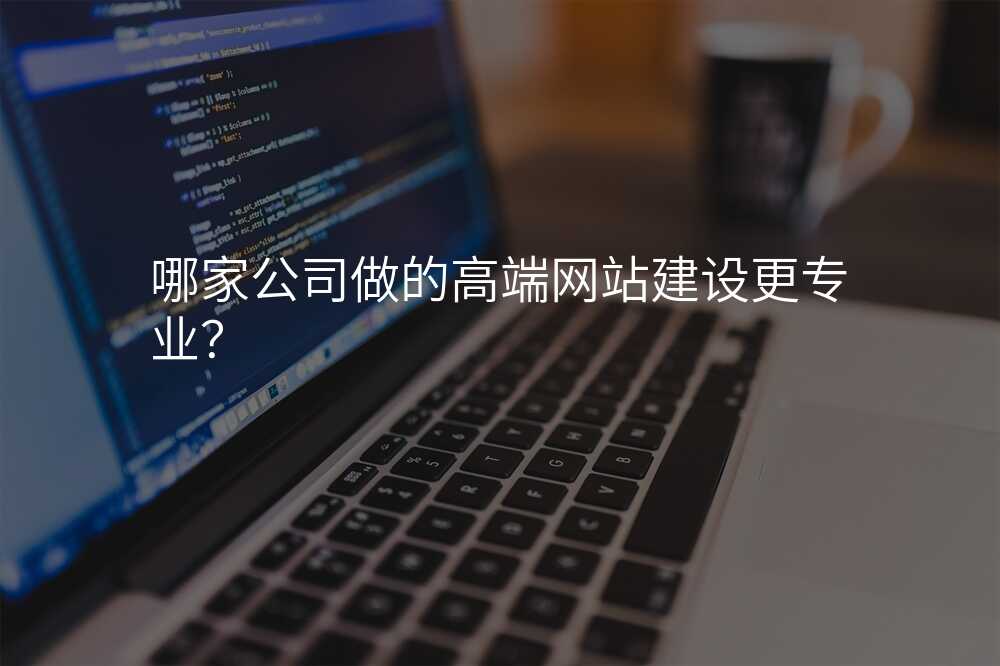 哪傢(jia)公(gōng)司做的(de)高(gao)端網站建(jian)設(shè)更專(zhuan)業?