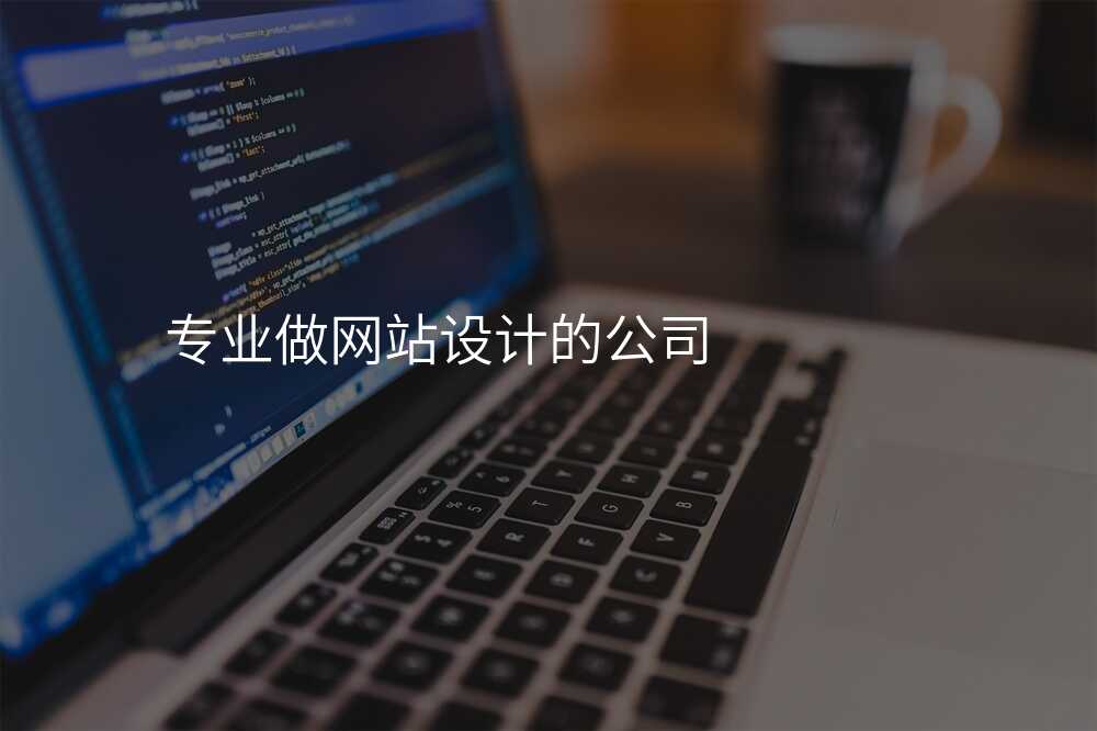 專(zhuan)業做網站設(shè)計(ji)的(de)公(gōng)司