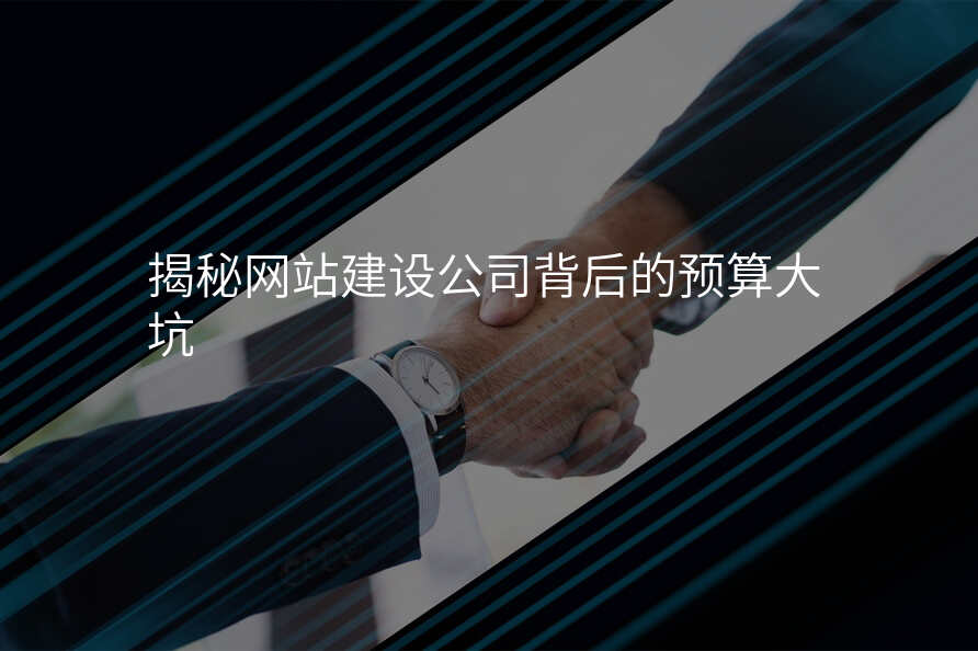 揭秘網站建(jian)設(shè)公(gōng)司背後(hou)的(de)預算大(da)坑
