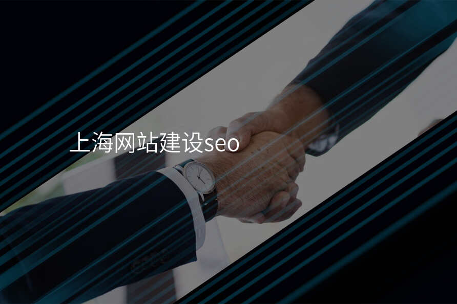 上海網站建(jian)設(shè)seo