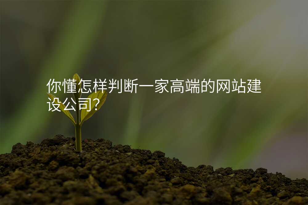 你懂怎樣判斷(duan)一(yi)傢(jia)高(gao)端的(de)網站建(jian)設(shè)公(gōng)司?