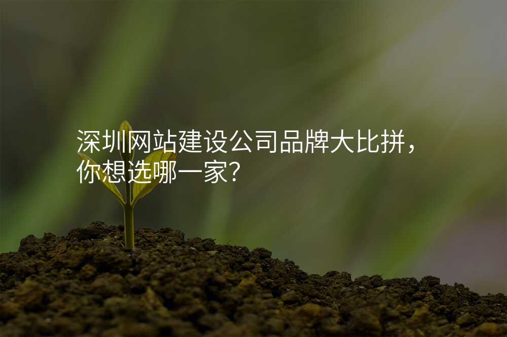 深圳網站建(jian)設(shè)公(gōng)司品(pin)牌大(da)比拼,你想選哪一(yi)傢(jia)?