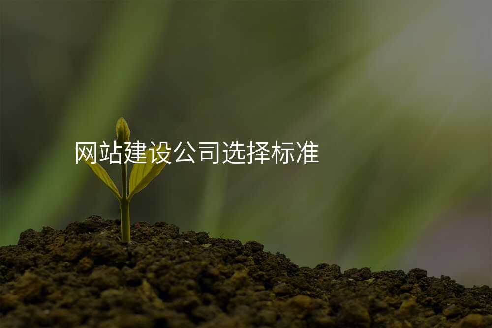 網站建(jian)設(shè)公(gōng)司選擇标準