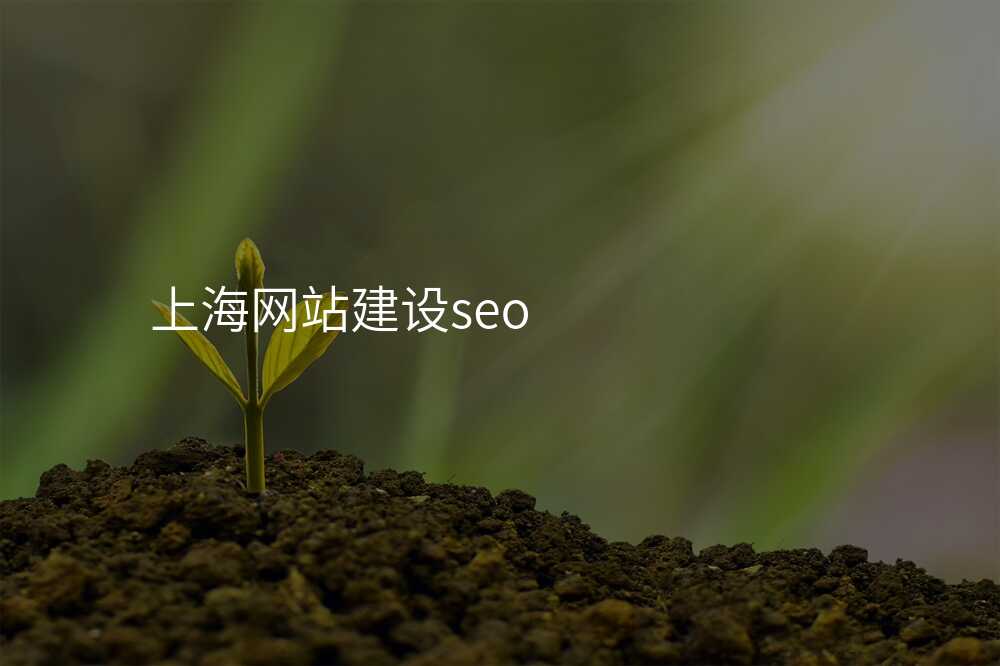 上海網站建(jian)設(shè)seo