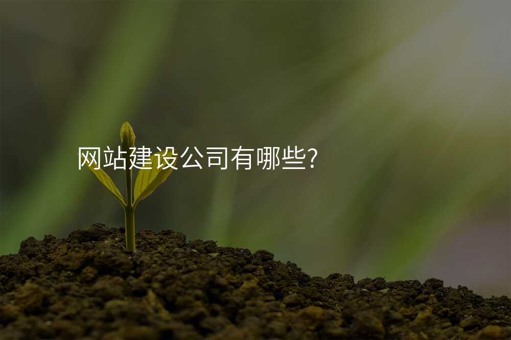 網站建(jian)設(shè)公(gōng)司有(yǒu)哪些?
