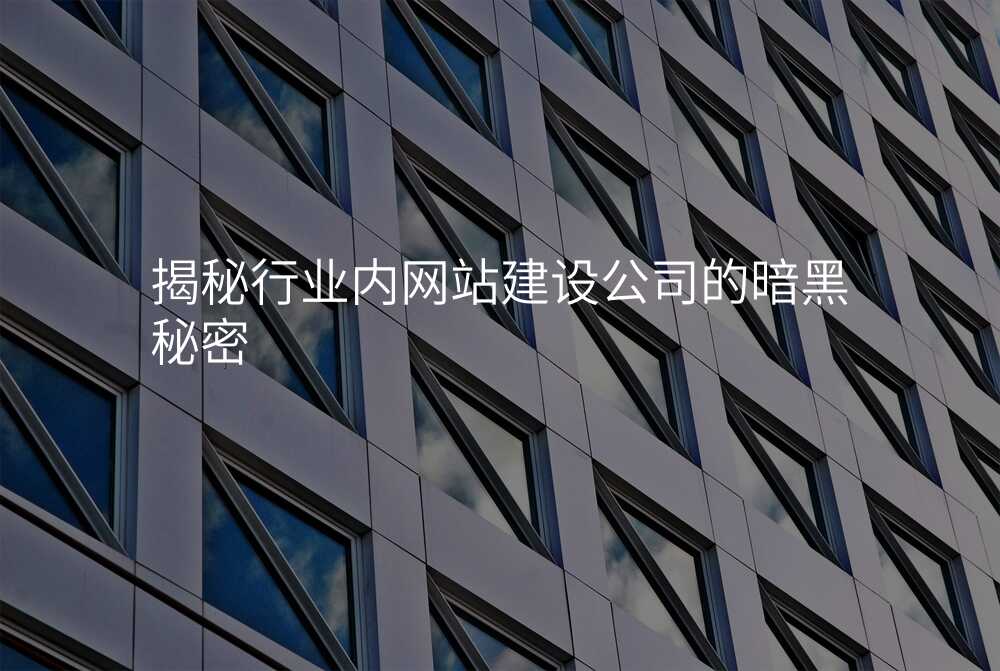 揭秘行業內(nei)網站建(jian)設(shè)公(gōng)司的(de)暗黑秘密