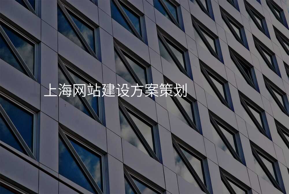 上海網站建(jian)設(shè)方(fang)案策劃