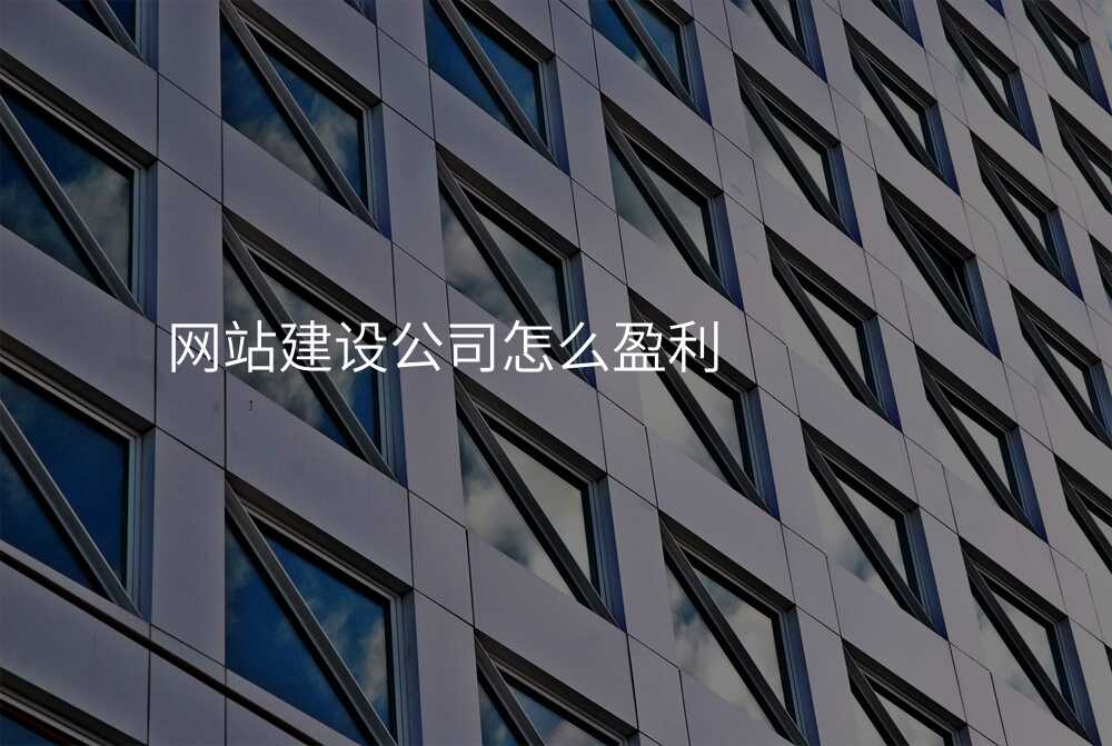 網站建(jian)設(shè)公(gōng)司怎麽盈利