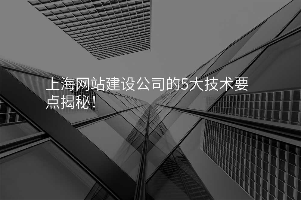 上海網站建(jian)設(shè)公(gōng)司的(de)5大(da)技(ji)術(shù)要點揭秘！