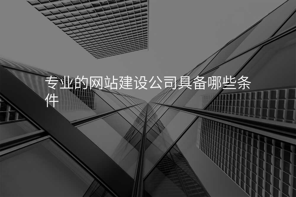 專(zhuan)業的(de)網站建(jian)設(shè)公(gōng)司具(ju)備(bei)哪些條件