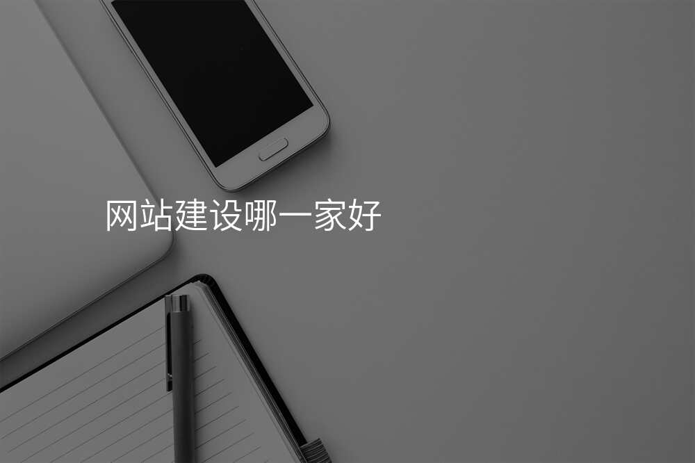 網站建(jian)設(shè)哪一(yi)傢(jia)好