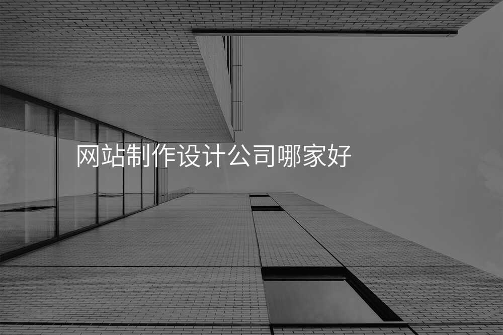 網站製(zhi)作(zuò)設(shè)計(ji)公(gōng)司哪傢(jia)好