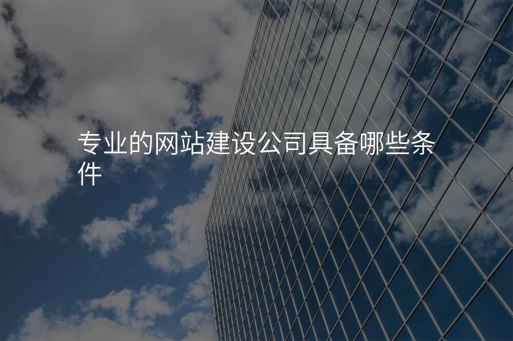 專(zhuan)業的(de)網站建(jian)設(shè)公(gōng)司具(ju)備(bei)哪些條件