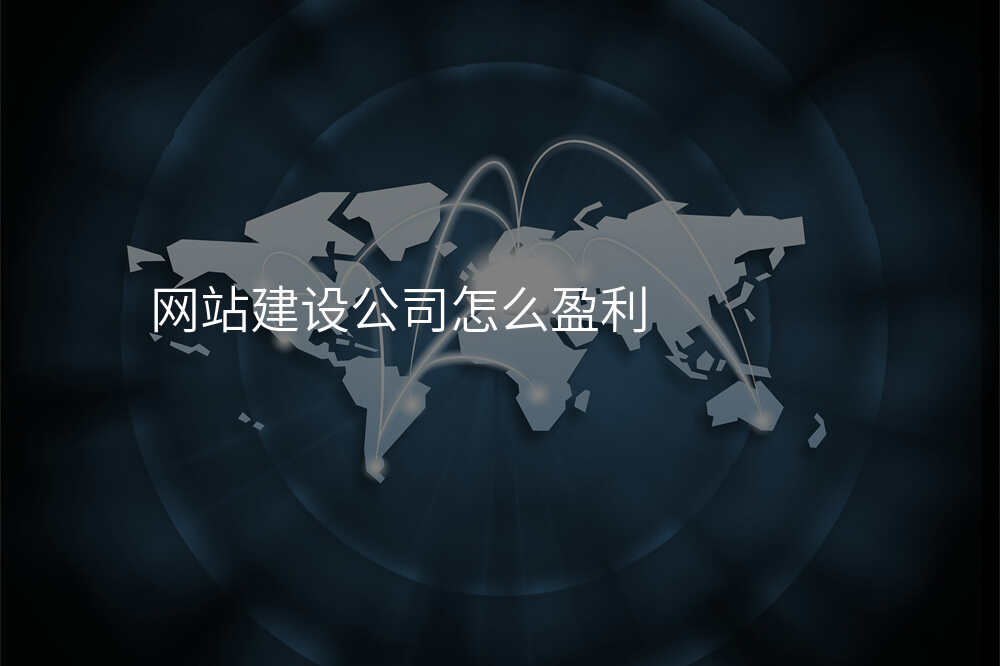 網站建(jian)設(shè)公(gōng)司怎麽盈利