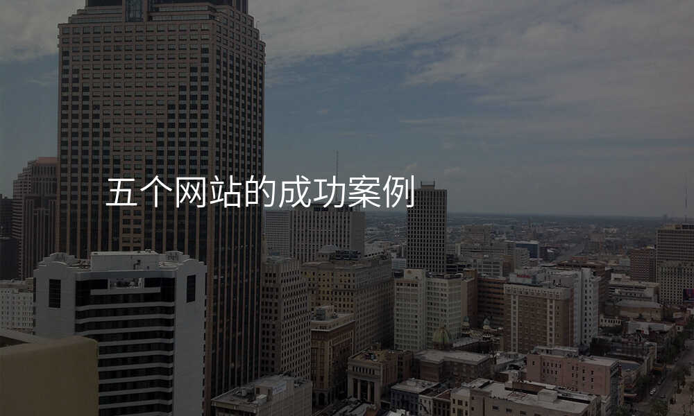 五箇(ge)網站的(de)成(cheng)功案例