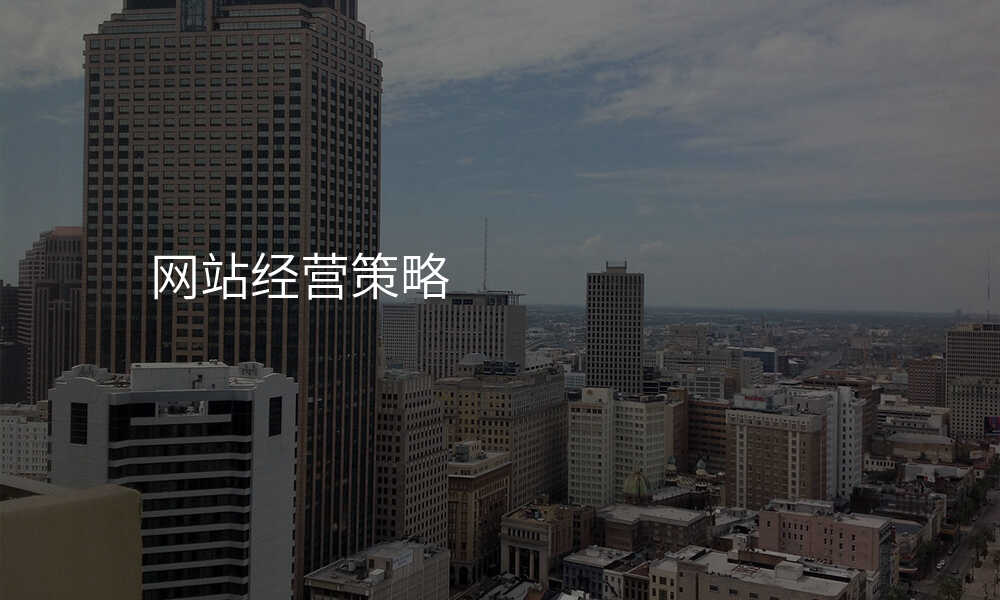 網站經(jing)營(ying)策略